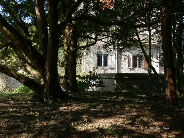 Bois des Moutiers (59) mars 2012